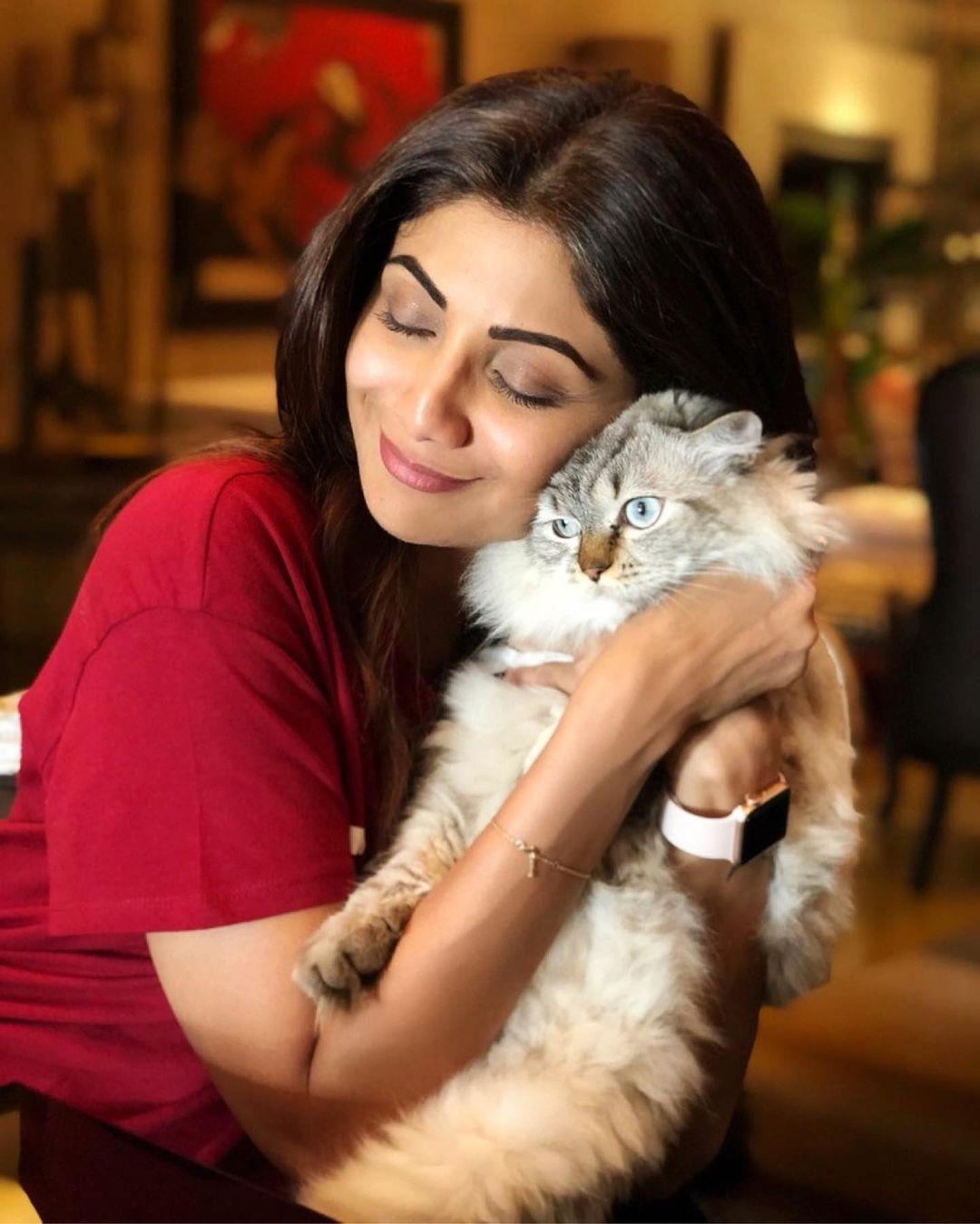 Shilpa Shetty Kundra is not only a mom of two humans but also of a cute cat. Shilpa loves showering her furry baby with love