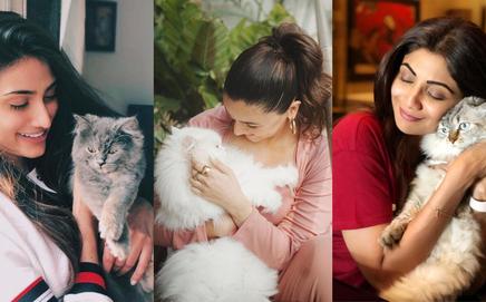 Celebrities and their cute cats