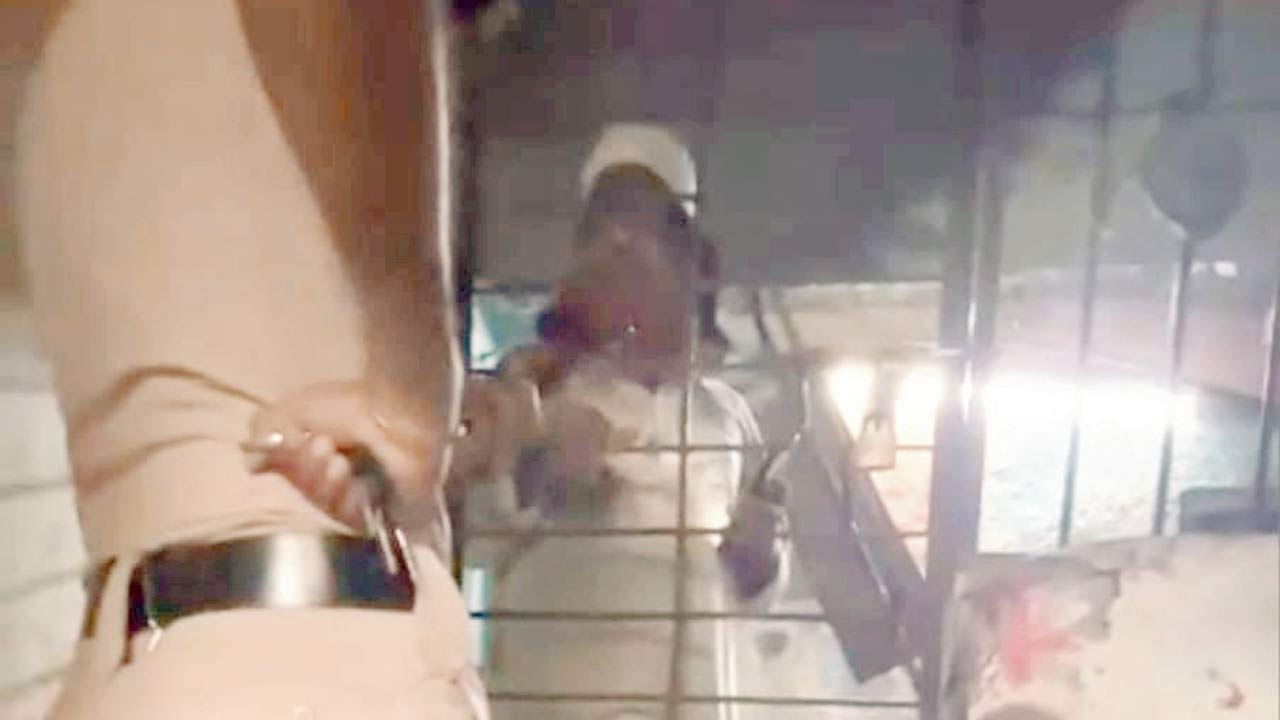 Cops interrogate the owners who allegedly breed dogs