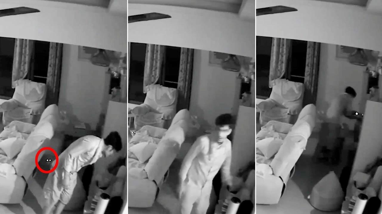 Mumbai: Burglar busted by cat nabbed