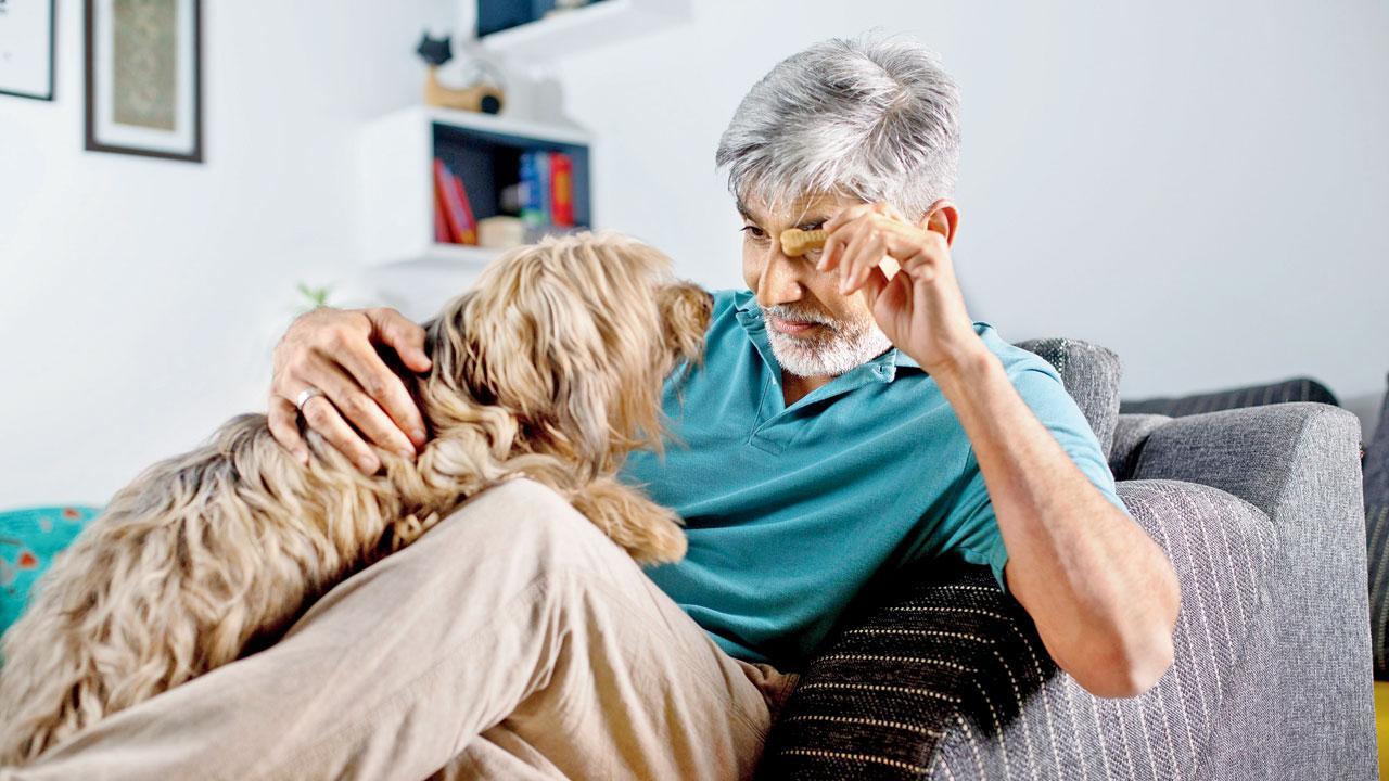 How well do you know your dog?