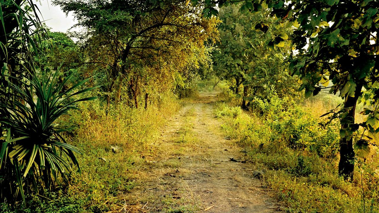 At any time of the day, one can walk along tiny trails all across the farm during a stay here