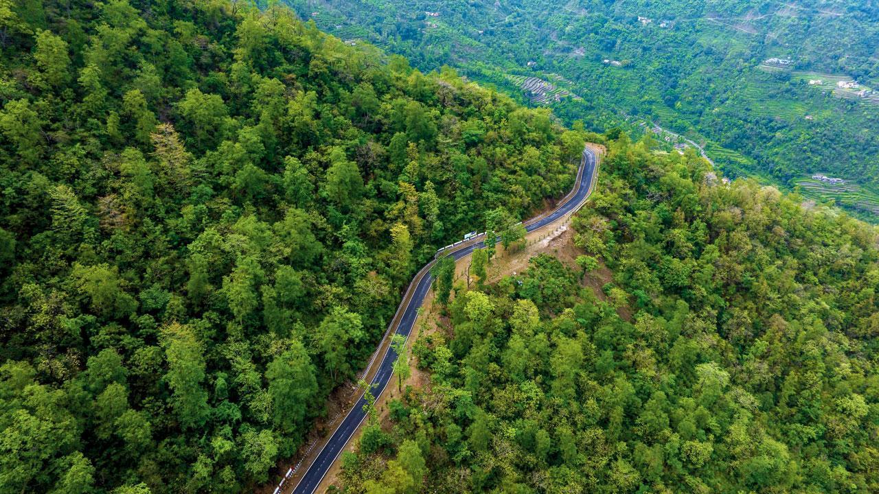 Conversion from notified to reserved forest lags in Maharashtra