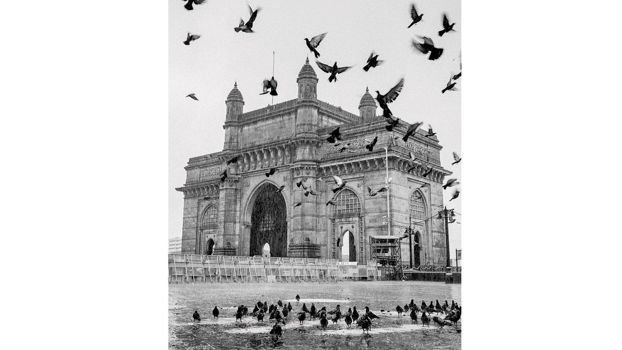 Marathon to poetry: 5 unique ways to celebrate Independence Day