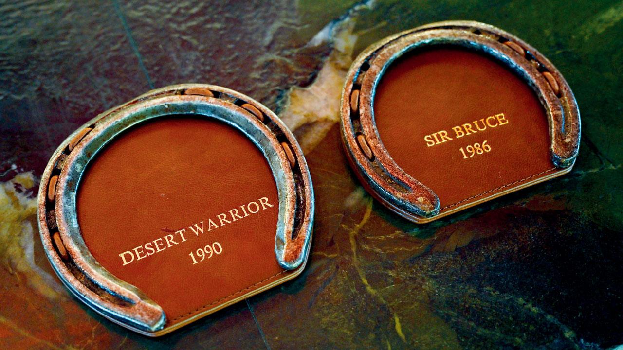 HORSESHOE COASTERS