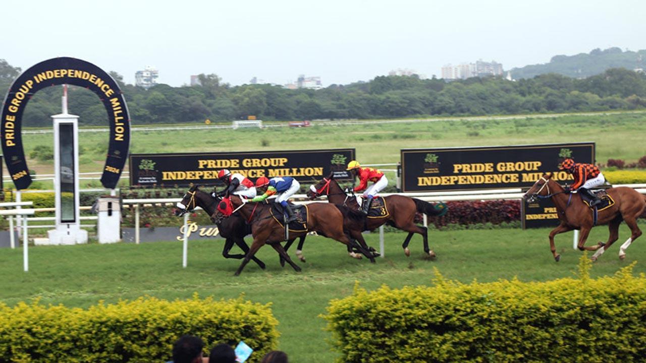 Jockey Sandesh, trainer MK Jadhav emerge as top stars