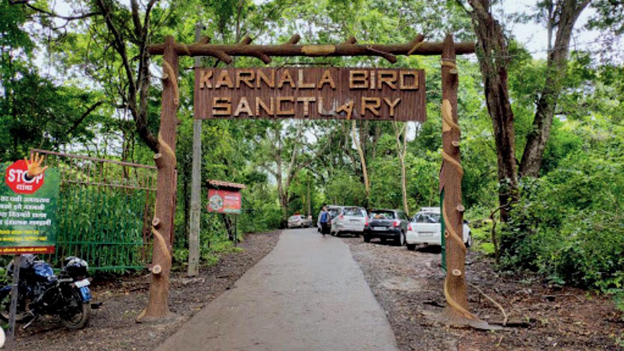 Birdwatcher robbed at Karnala Bird Sanctuary near Mumbai 