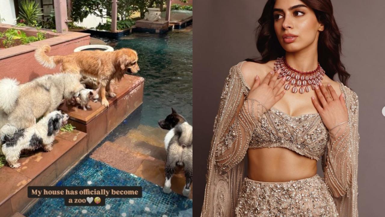 Khushi Kapoor's house 'officially becomes a zoo' as her furry friends take over