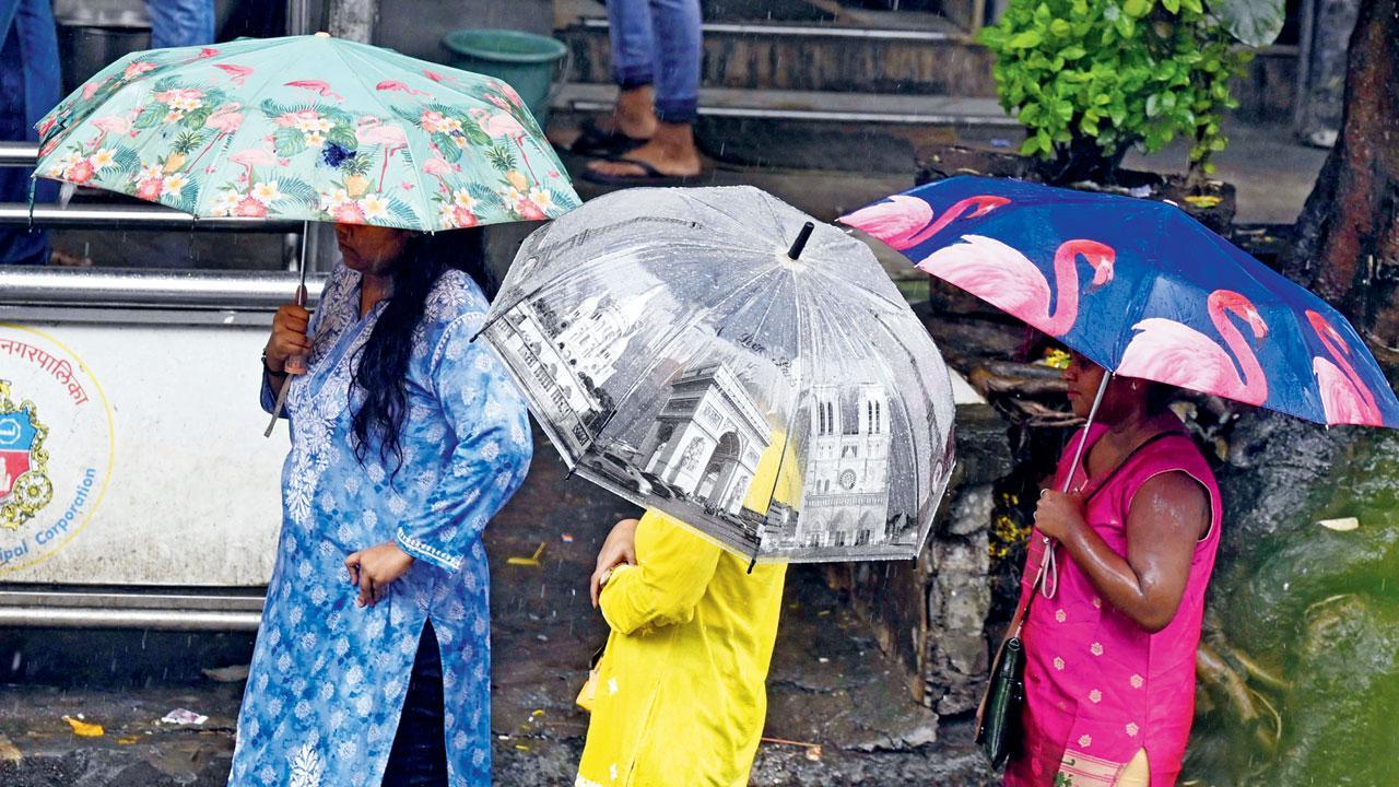 Rains return; Mumbai Metropolitan Region put on orange alert