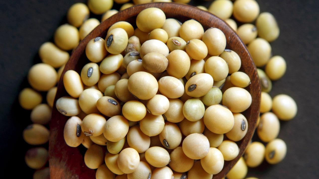 Experts recommend consuming soybeans during menopause 