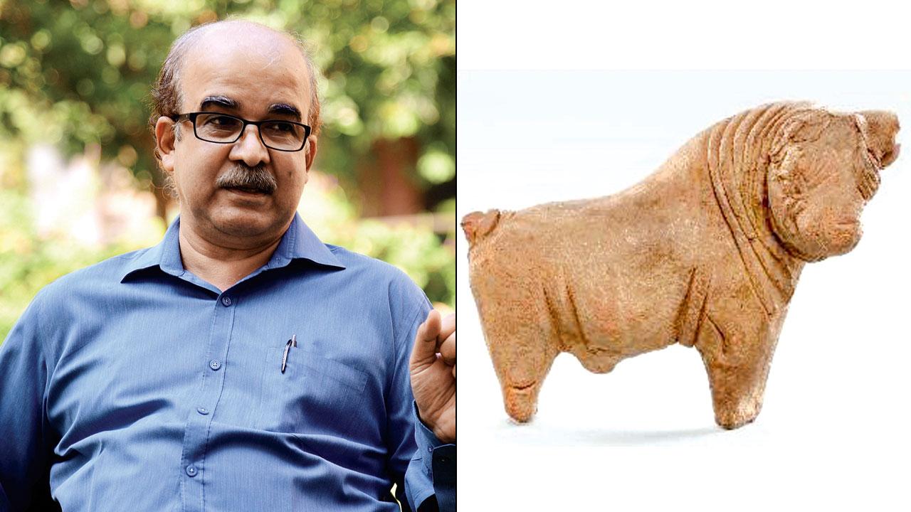 Bull, Mohenjo-Daro, IV 220,  Pic Courtesy/CSMVS, Mumbai