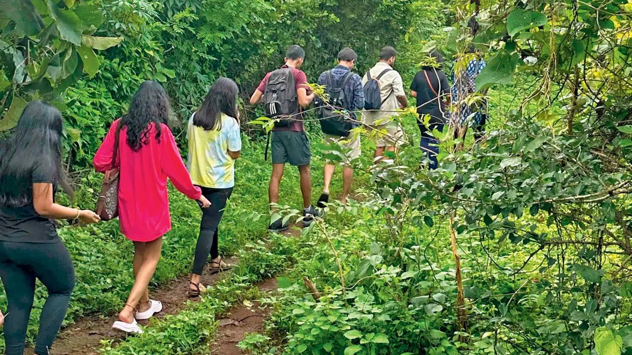 Explore nature trails of Aarey Forest, forage local herbs, and join the Warli tribal community for open-air cooking. Experience hands-on rice sowing and enjoy a traditional vegetarian feast. Join The Localway for an unforgettable morning celebrating the seasons, nature, and cultural heritage of Aarey forest, creating lasting memories in the city’s green heart.
When: August 10 onwardsWhere:  Aarey Colony, GoregaonPrice: INR 1,650 per personTo Book: urbanaut.com