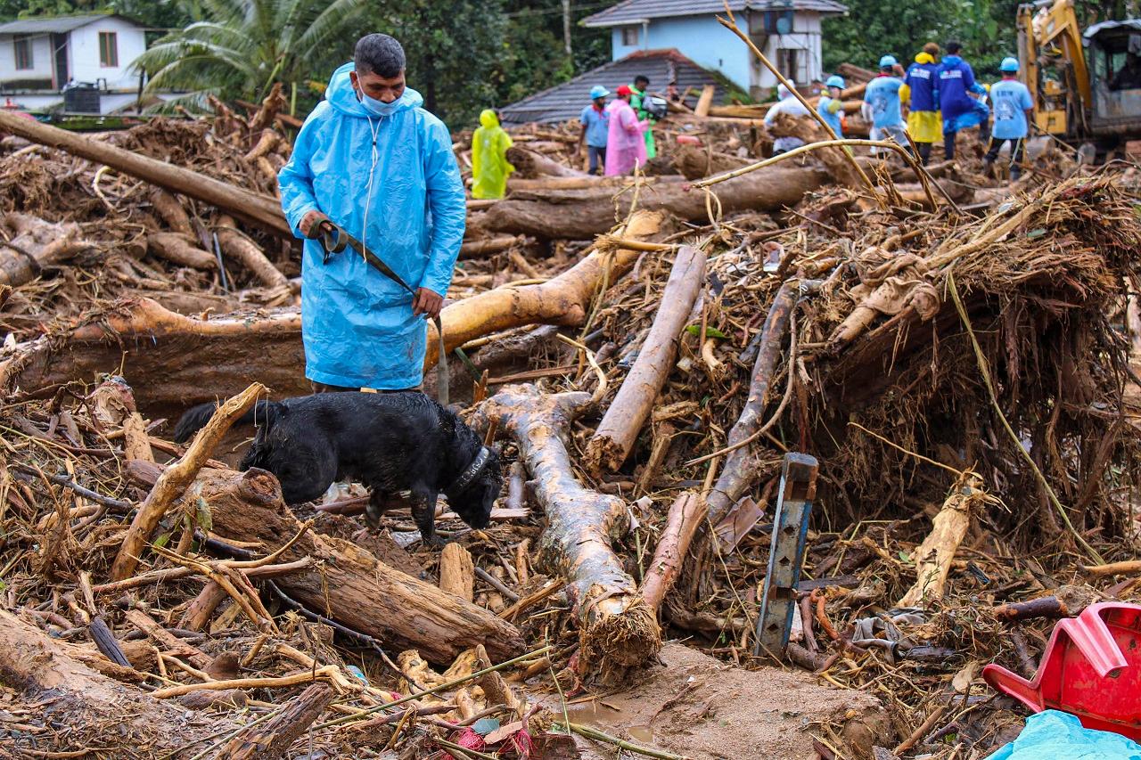 Over 2,500 people, including 599 children and six pregnant women, whose lives have been shattered by deadly landslides, are staying in various relief camps in Kerala's Wayanad, according to authorities on Monday