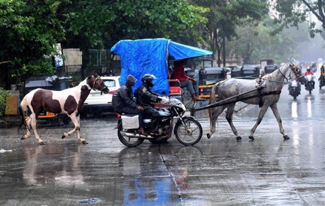 Mumbai likely to receive light to moderate rainfall today