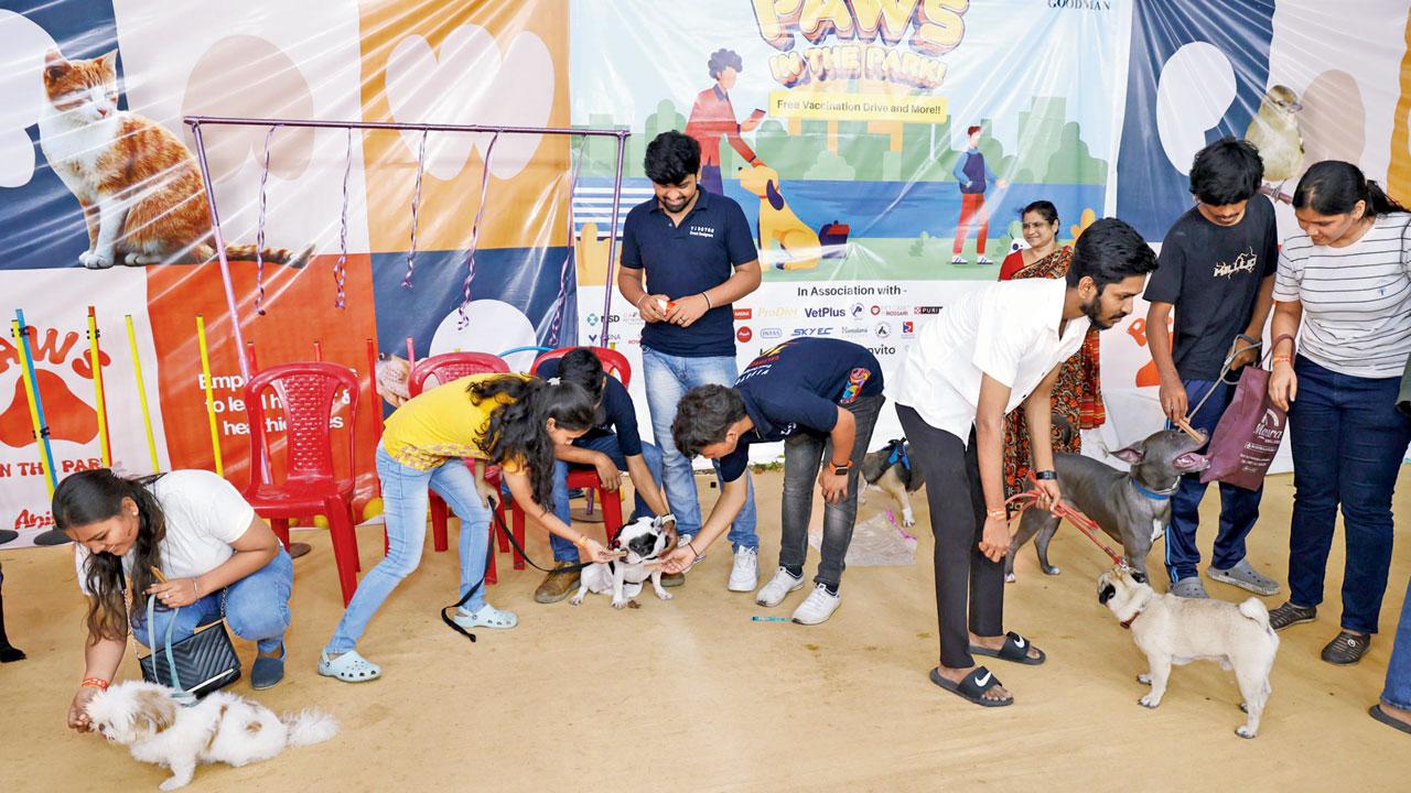 A moment from a previous pet healthcare session by the initiative