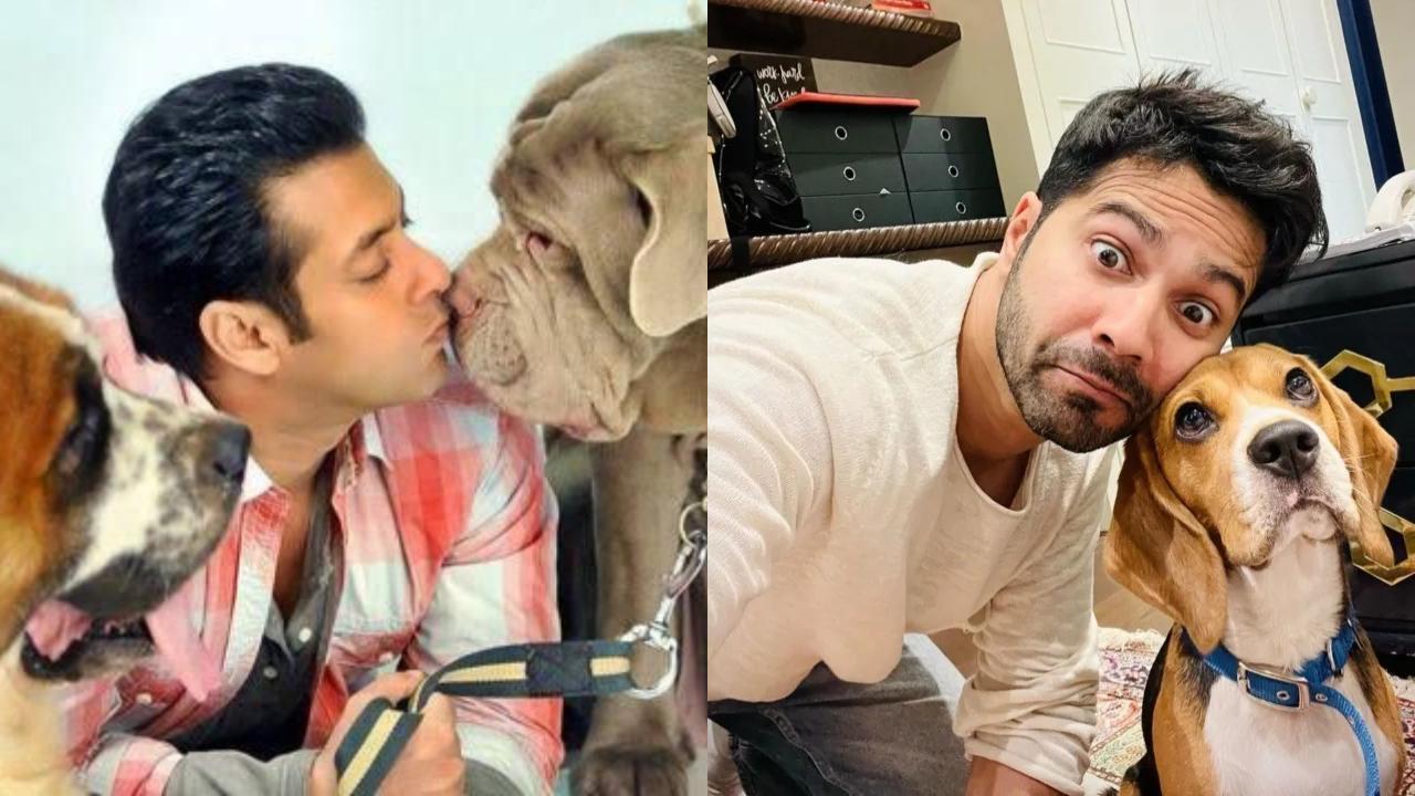 Salman Khan, Hrithik Roshan, to Varun Dhawan: The handsome pet daddies of B-town