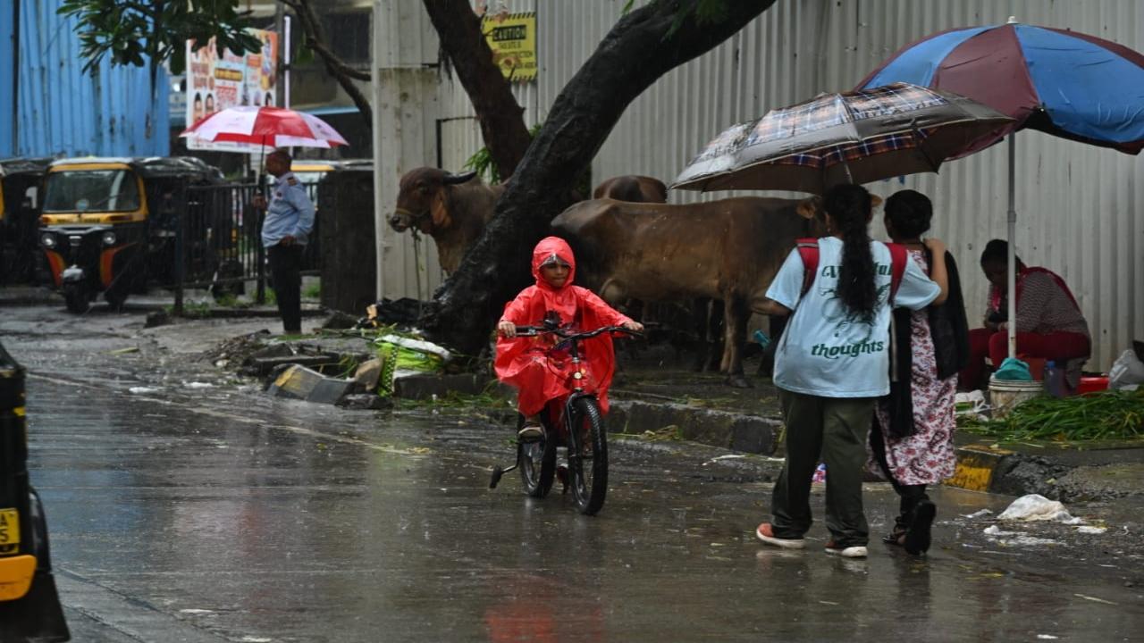 A good time to be out for kids: A child rides a bicycle during the rainfall in the western suburb of Goregaon