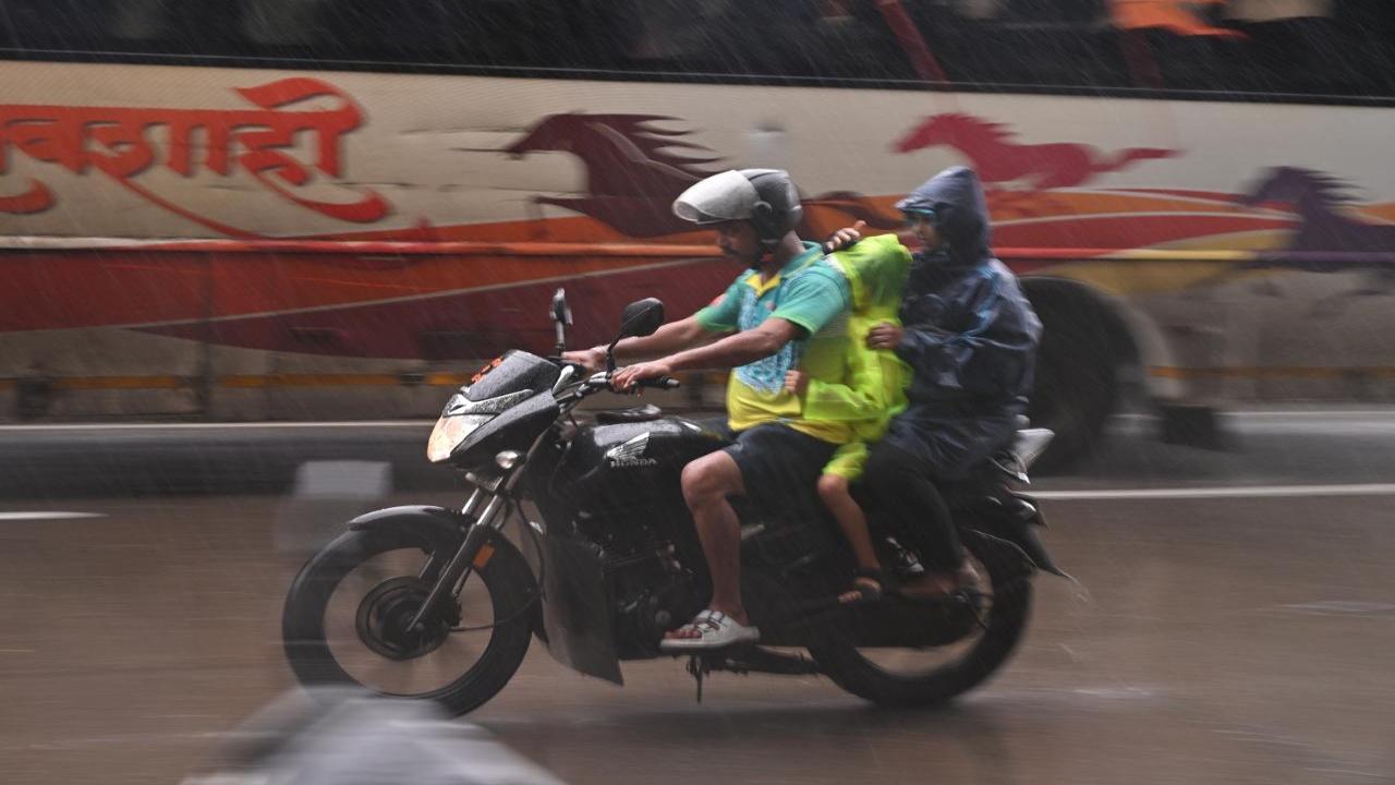 The IMD has issued an orange alert for some districts of Konkan and western Maharashtra for Saturday, Sunday and Monday. An orange alert warns of heavy rainfall exceeding 64.5 mm in 24 hours, potentially disrupting normal life and causing flooding in low-lying areas