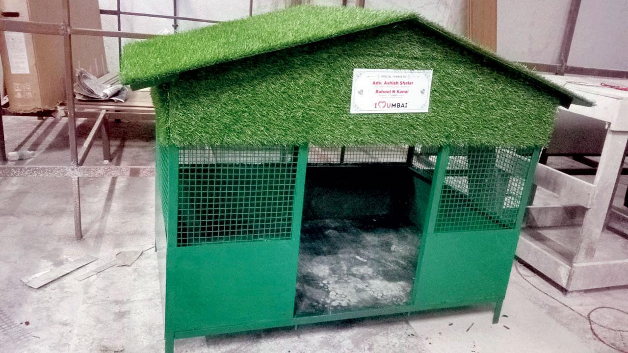 Mumbai: New shelters for stray animals in Bandra, Khar and Santacruz