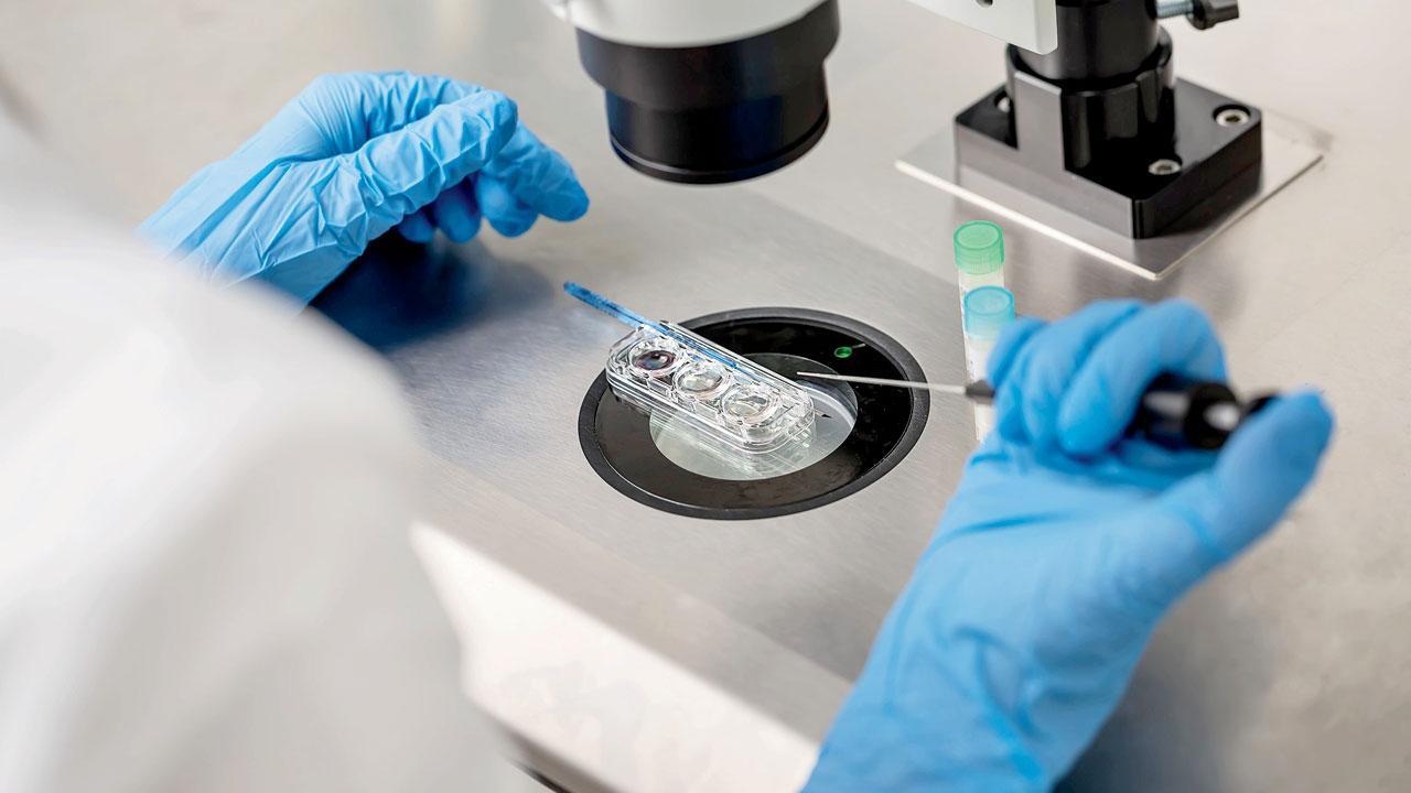 Sperm, egg donors have no right on child: Bombay HC