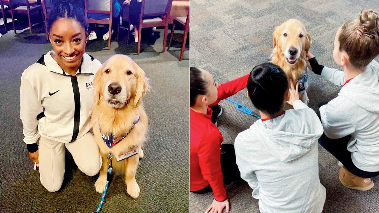 As US gymnastics team's dog Beacon takes the spotlight, Mumbai experts share tips to navigate animal-assisted therapy