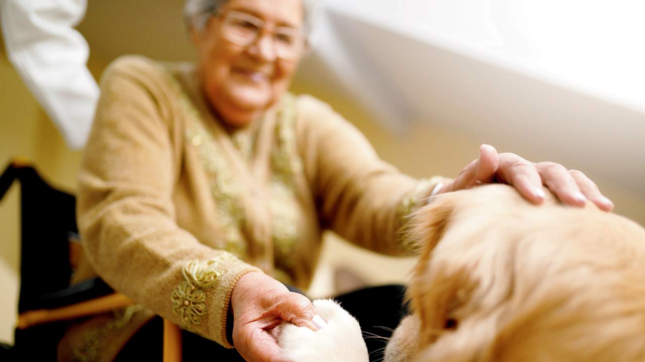 Experts suggest getting a therapy pet may help senior citizens with neurological conditions, like dementia. Representation pic