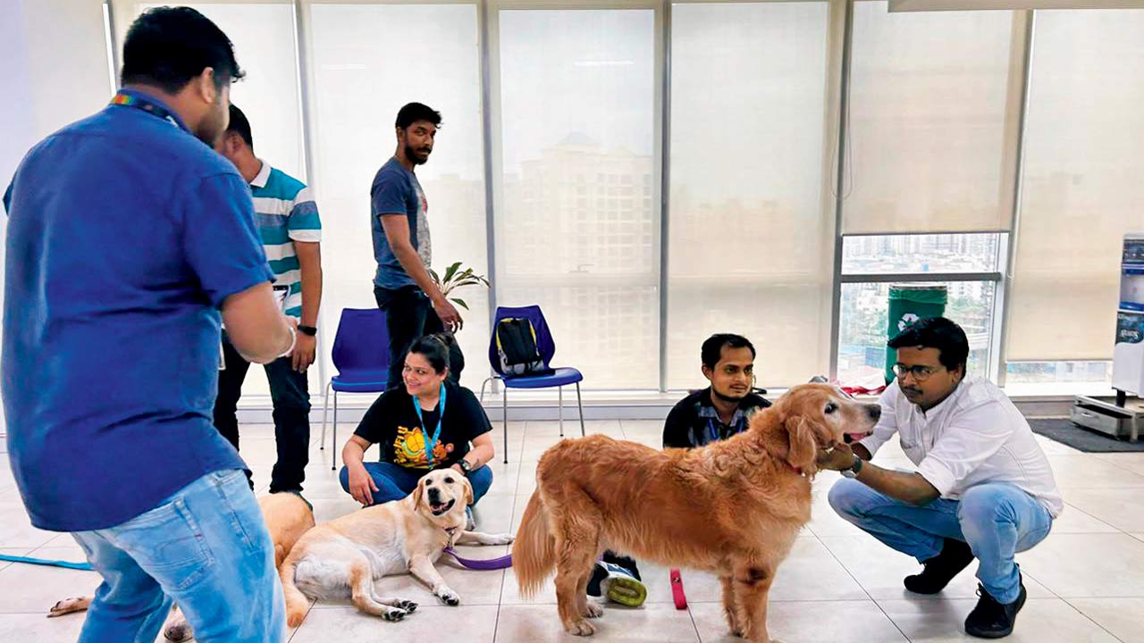 Employees interact with Luna (seated), and Eli