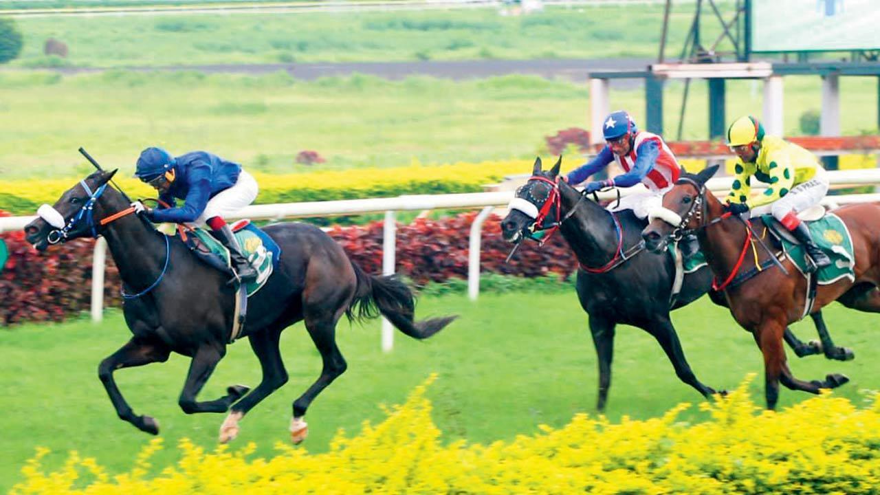 I was confident Treat would win: Trainer Sait