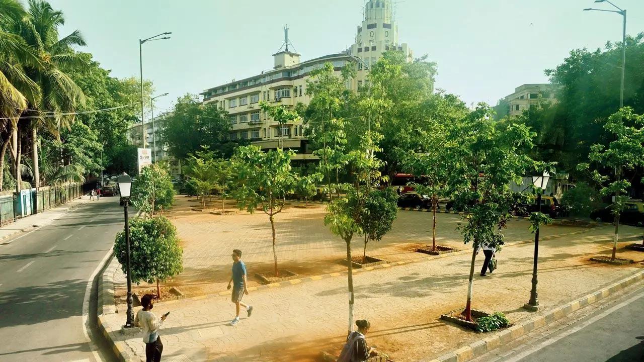 Mumbai: MMRC initiates in-situ plantation of 2,931 trees near Metro 3 stations
