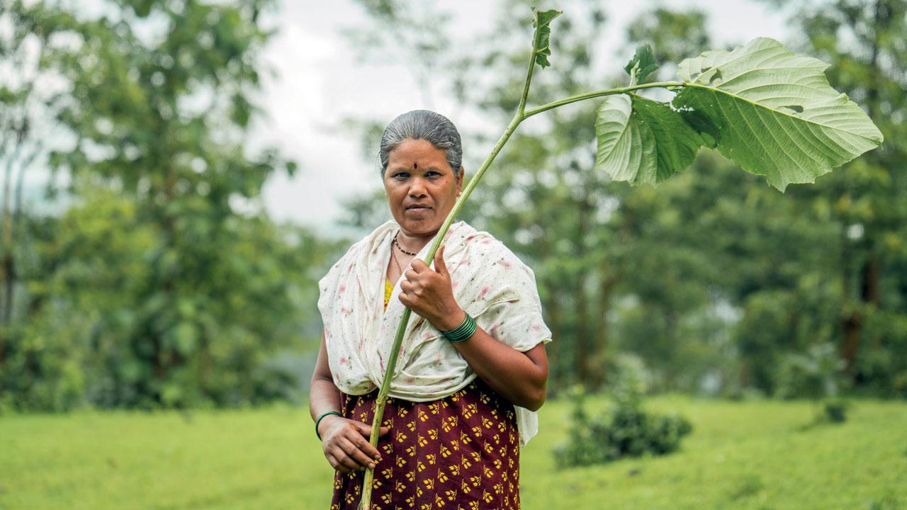 Mumbai: Five things to look for at the Wild Food Festival 2024