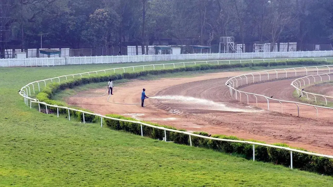 Dash for FD Wadia Trophy (Gr 3)