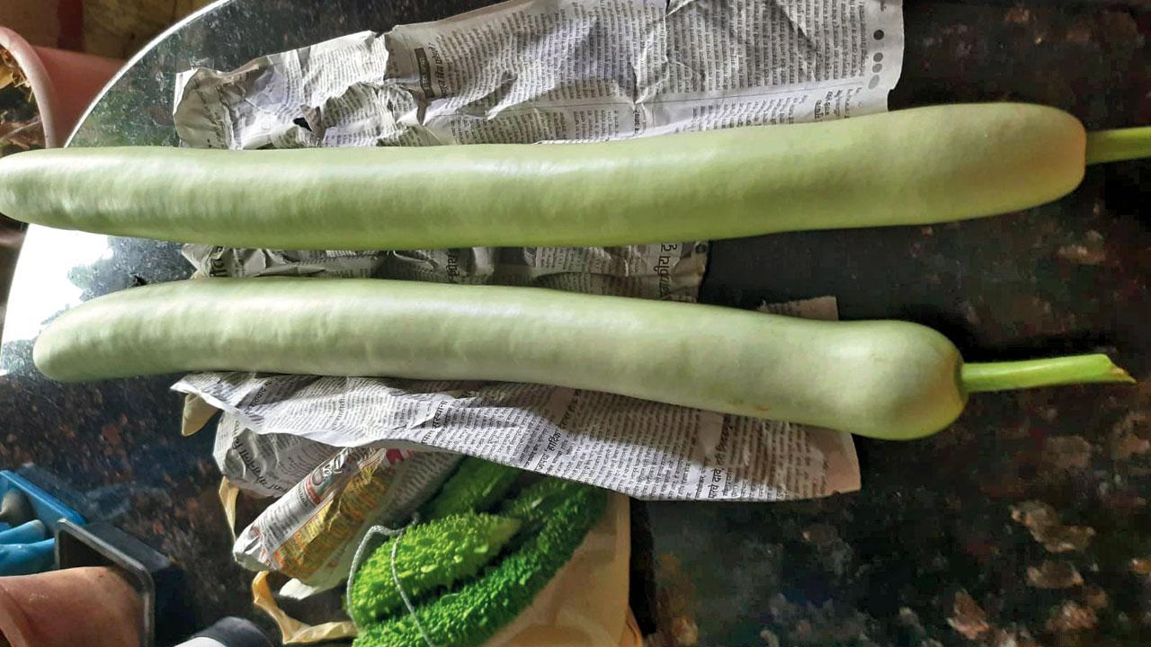 Vegetables from a previous batch are ready to be dispatched