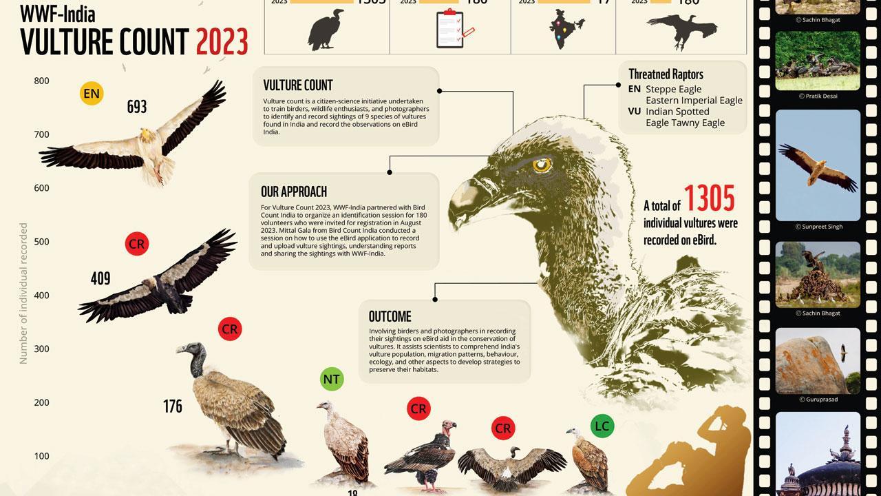 Vulture Watch 2024 to kick off on September 7