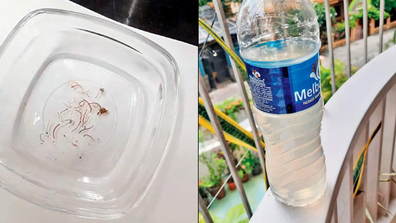 Watch video | Mumbai: ‘Worms, muck, faecal matter in our water!’