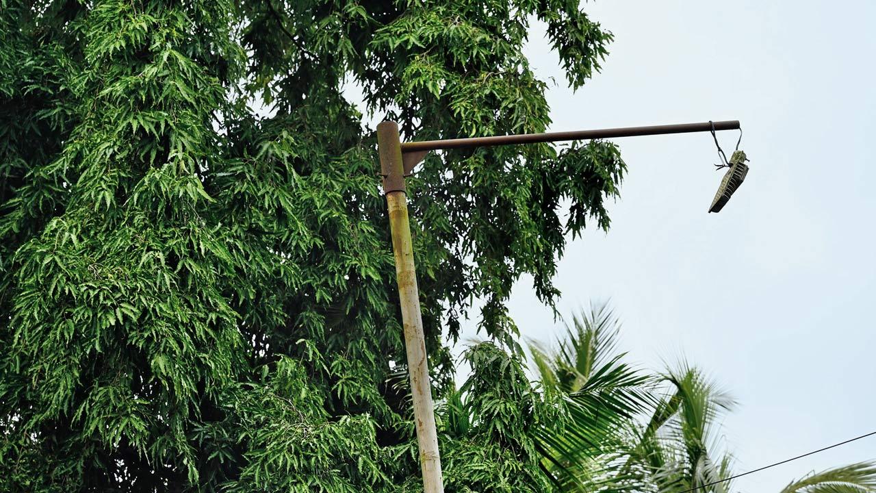 Broken street lamp on the interior road of Aarey colony
