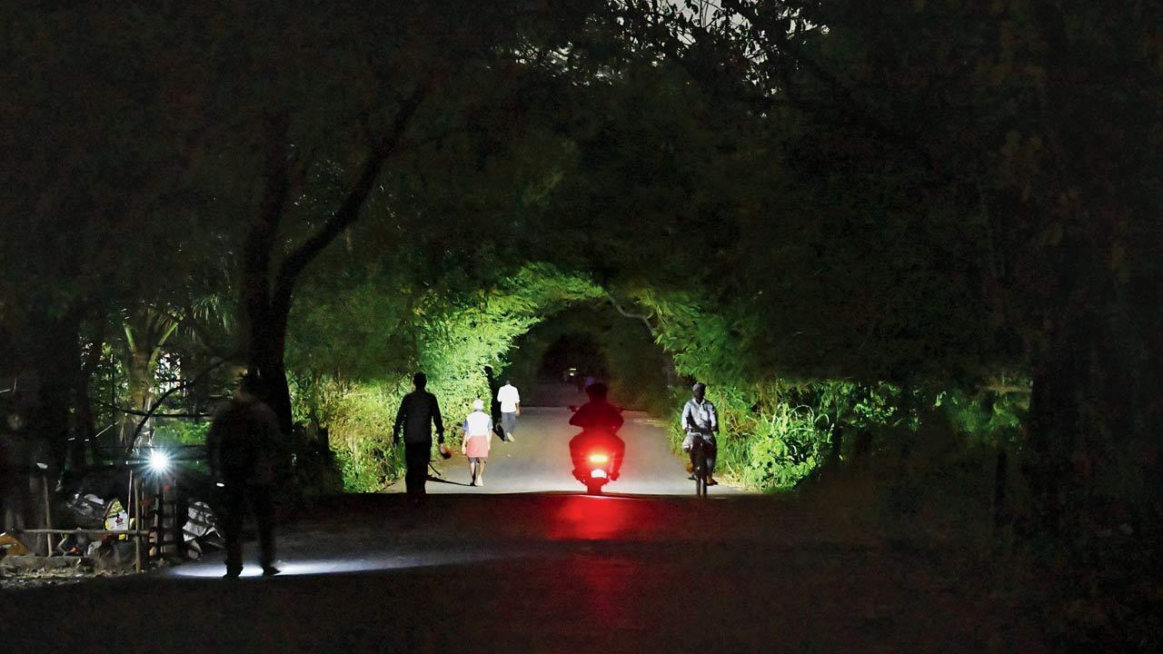 Mumbai: Cops press Aarey CEO to restore street lights