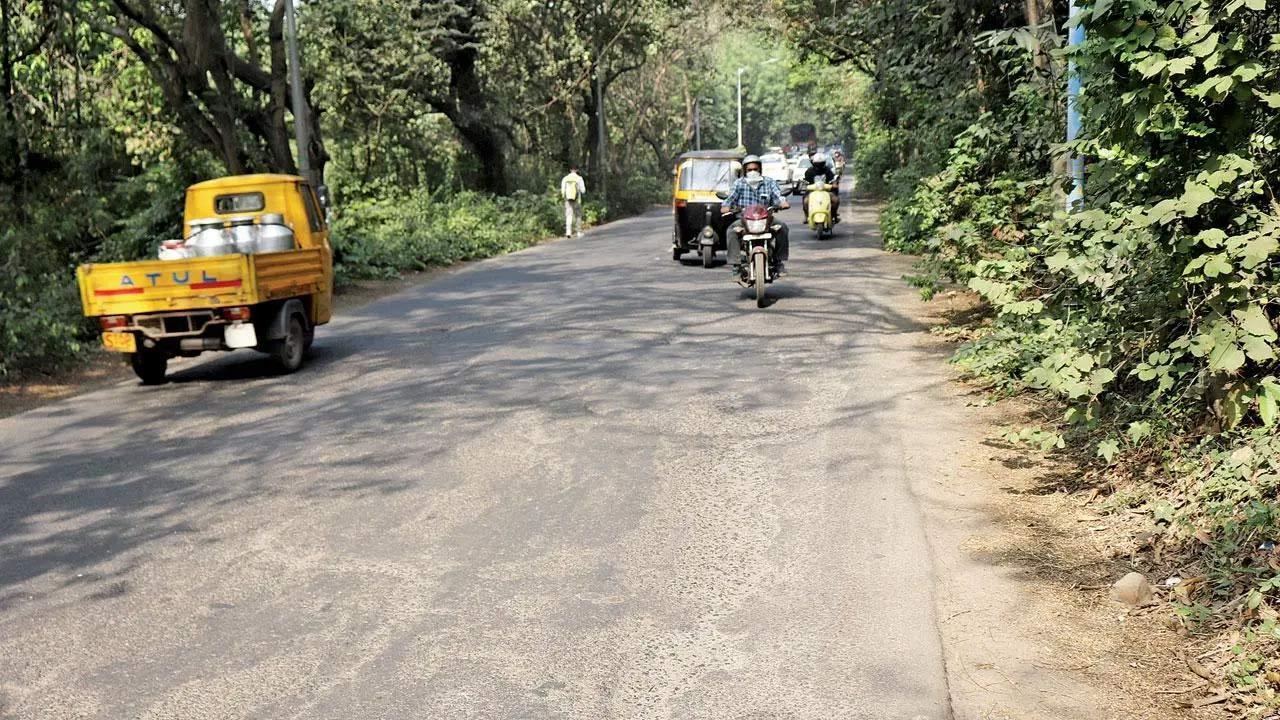 Will start murrum work at Aarey after monsoon: Mumbai civic body