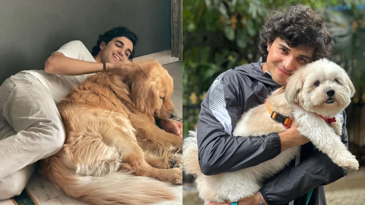 Abhay Verma celebrates international dog day, shares pic with Joey