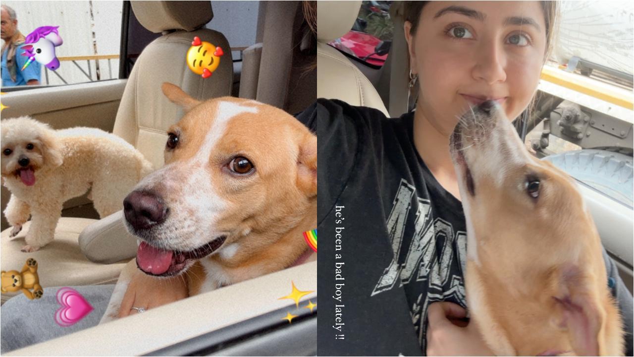 Aditi Bhatia takes her furry friends for special grooming 