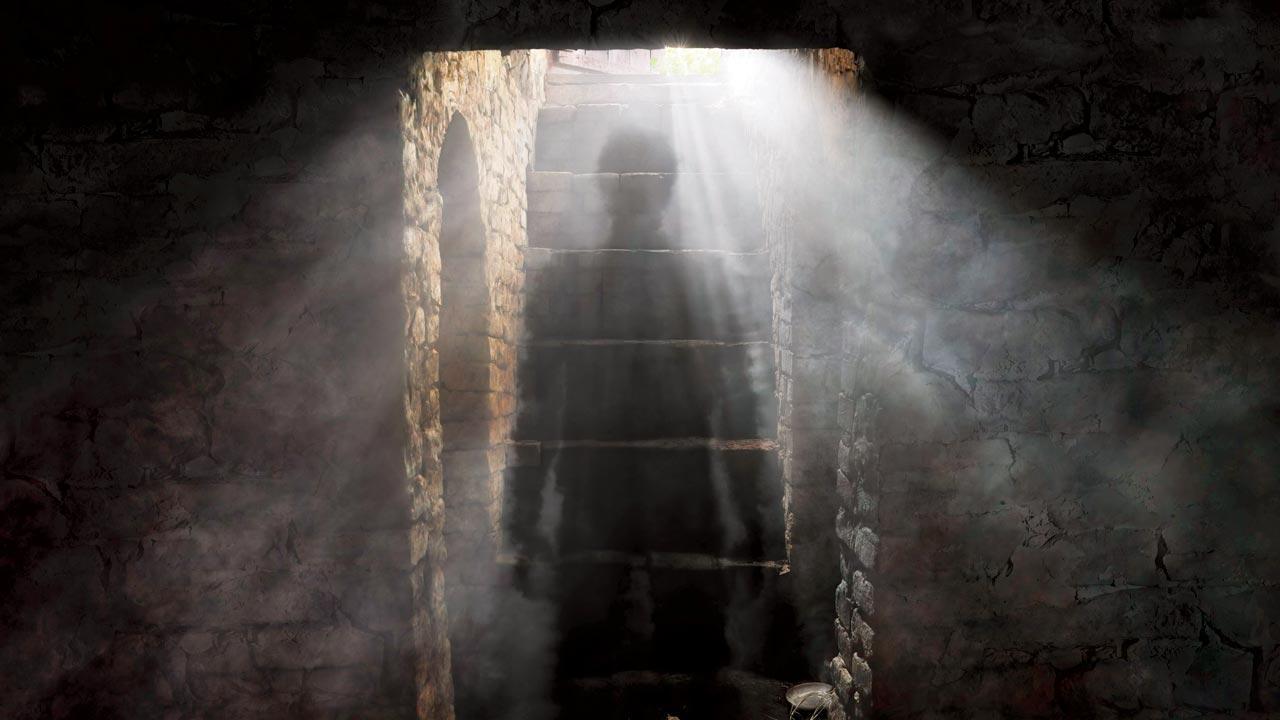 Partition: Killer and the shadow