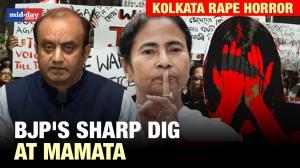 Kolkata doctor rape & murder case: BJP's Sudhanshu Trivedi slams Mamata - WATCH