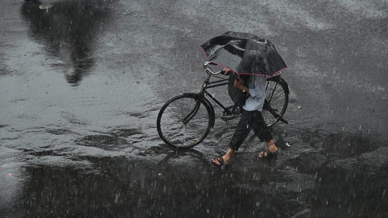Satara records 32.9 mm rainfall, Mumbai witnesses light showers as rains take a break in state