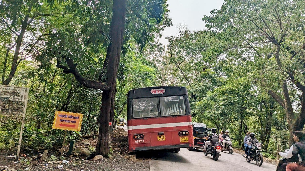 Use powdered rock on either side of Aarey road to avoid mishaps, Mumbai residents suggest
