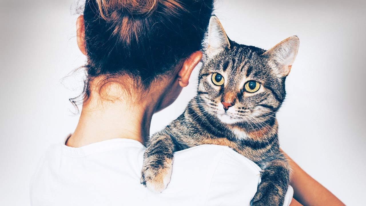 Female authors who challenged the 'cat lady' trope