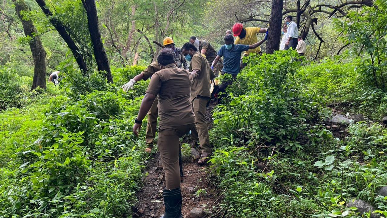 Maharashtra: Man found dead in Sanjay Gandhi National Park quarry, cops launch probe