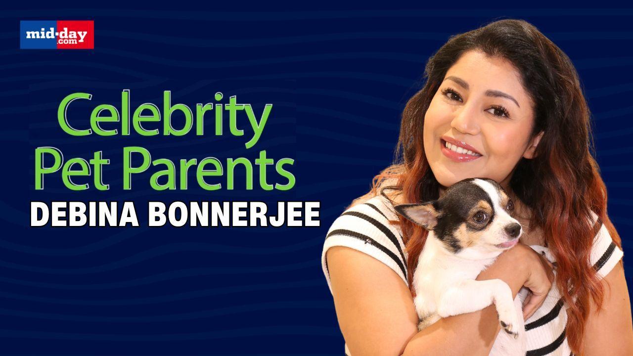 Meet Debina Bonnerjee's cutest Chihuahua Pablo | Celebrity Pet Parents
