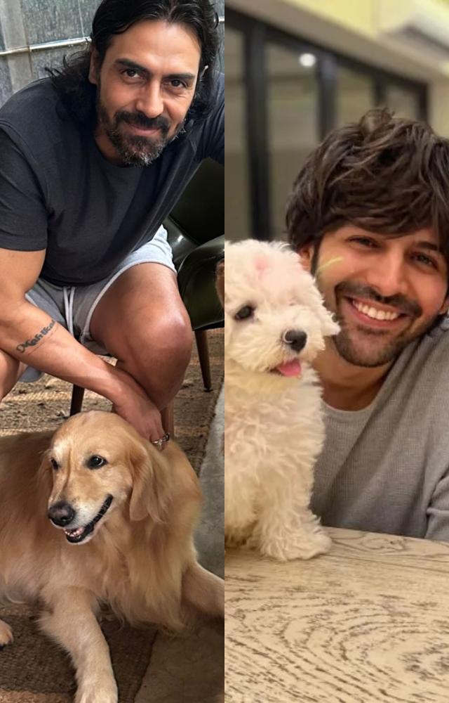 Bollywood`s dotting dog dads