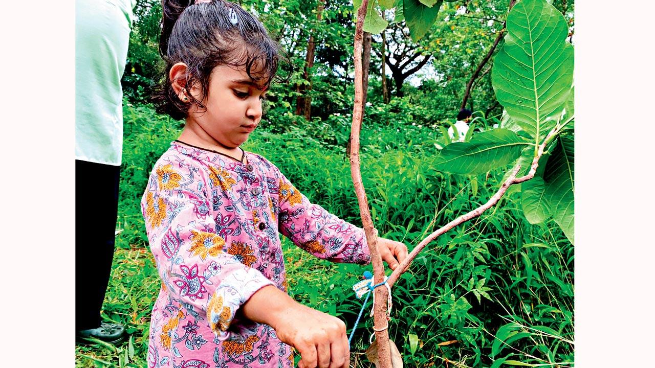 A child ties a rakhi to a plant 