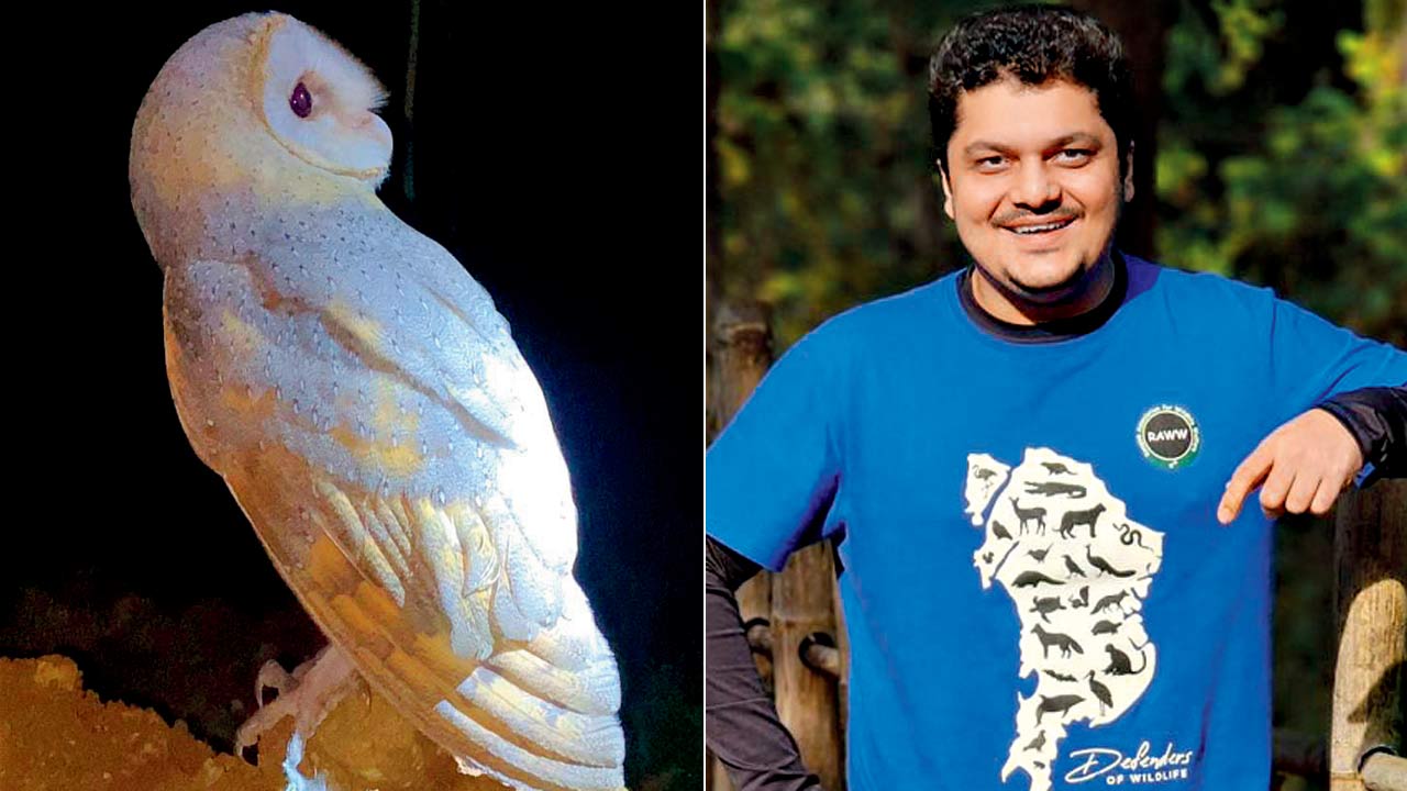 The rescued white barn owl; (right) Pawan Sharma