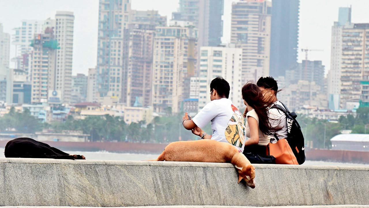 Mumbai Diary: Thursday Dossier